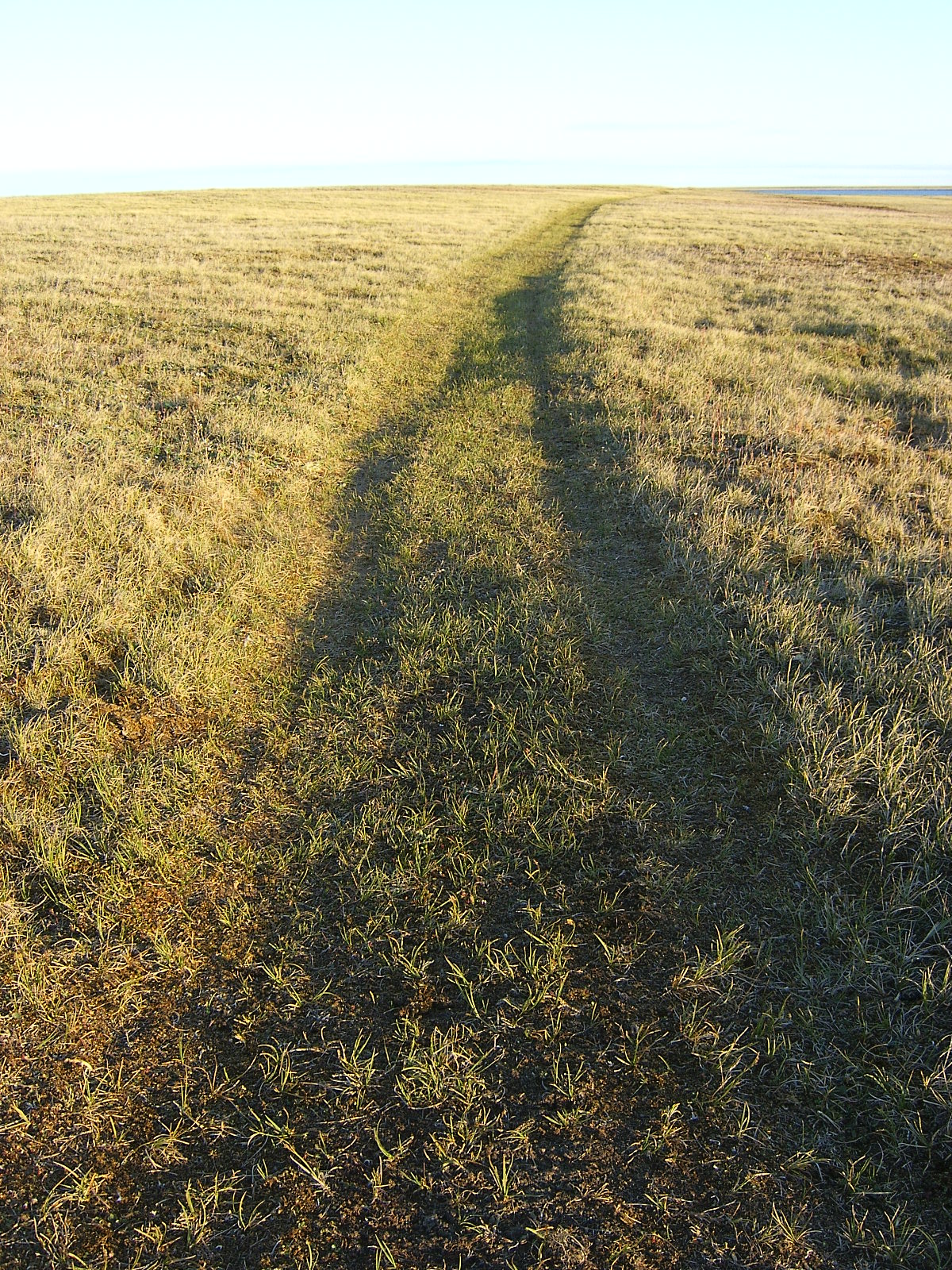 Tundra Path 2