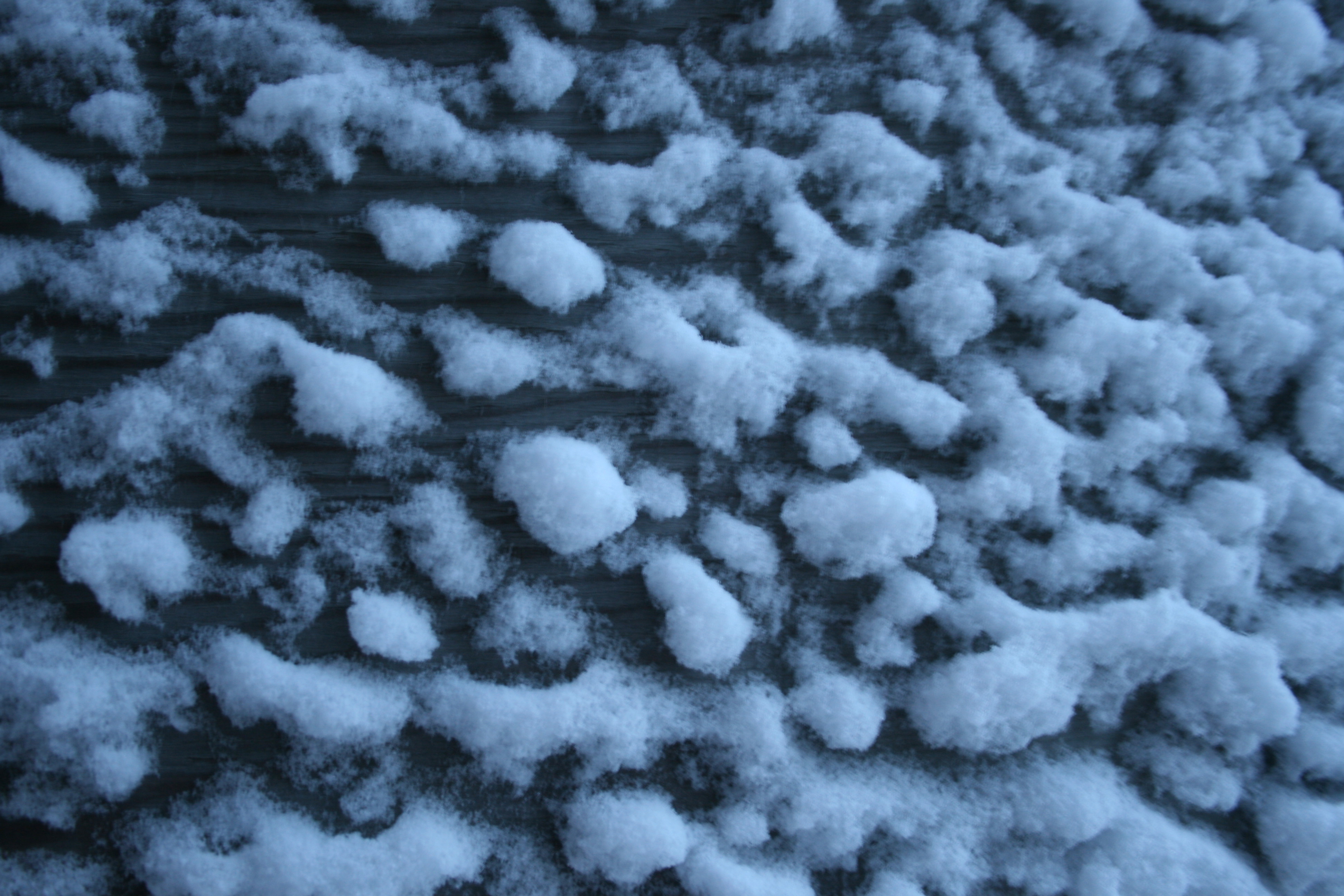 frost on wood texture