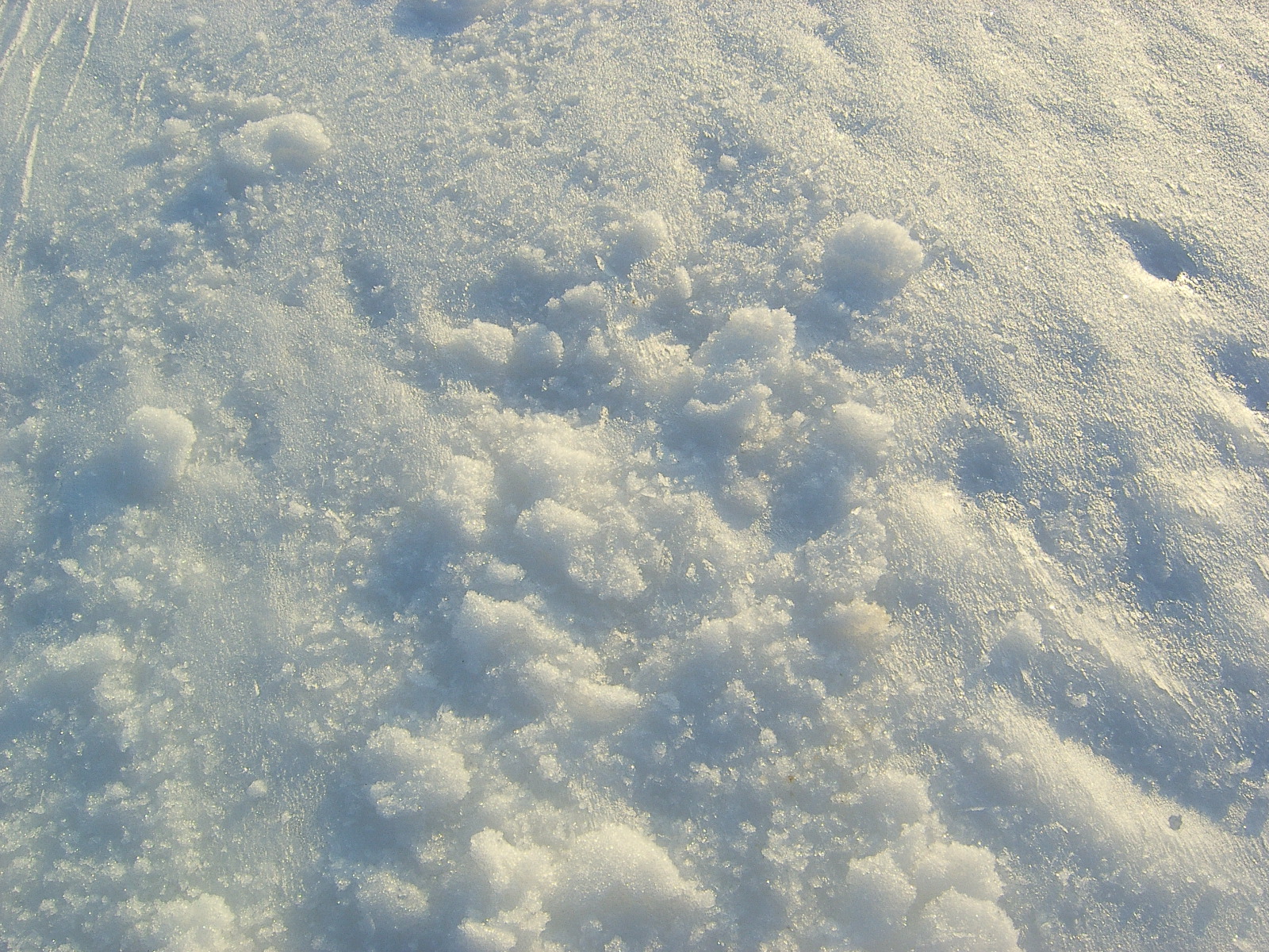 Snow texture 2