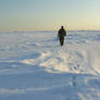 Walking on ice 1