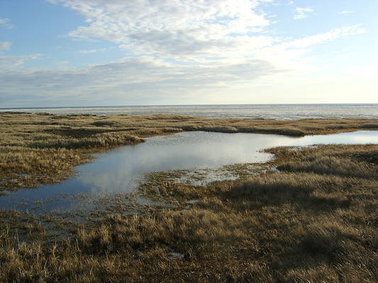 Sea pond sky 1