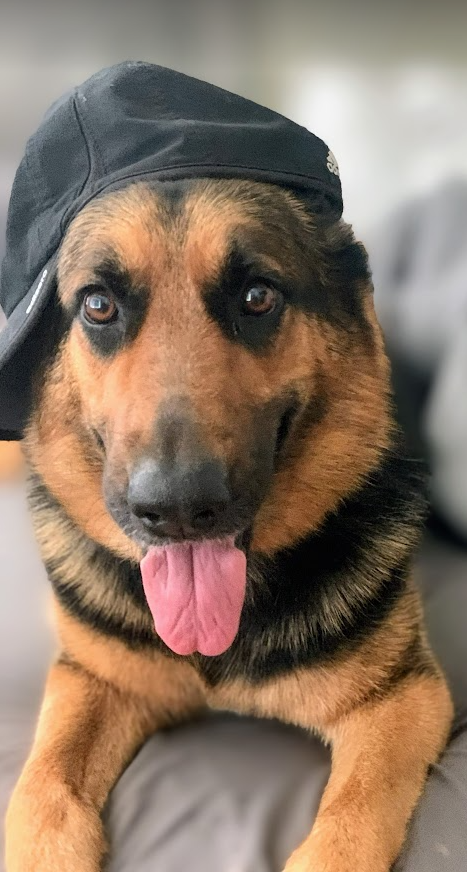 ~Bella~