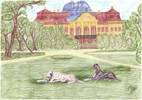 Dogs in the Godollo royal castle park