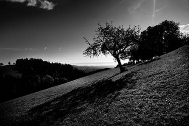 bw landscapes - pleschkogel