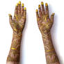 gold bridal mehandi