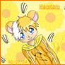 human hamtaro