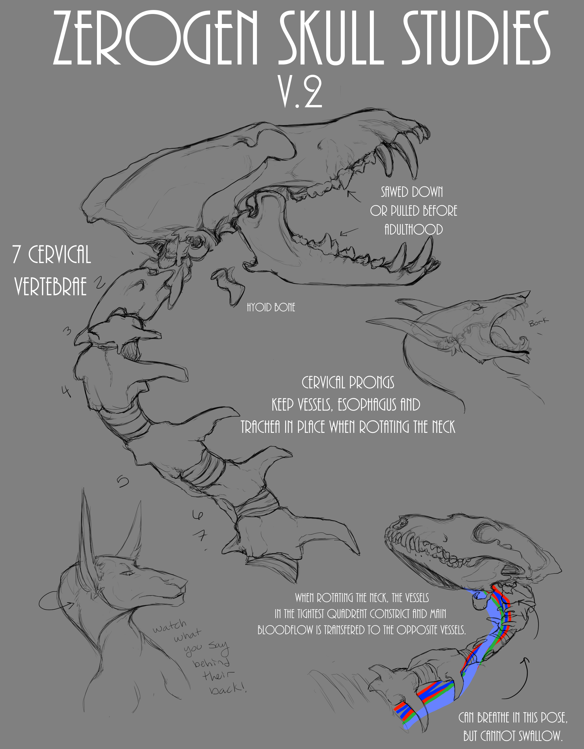 Zerogen Skull Studies V.2 by TikTaaliik on DeviantArt