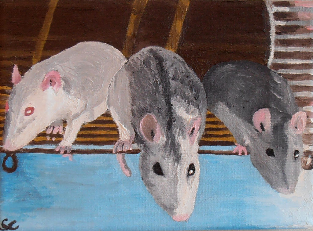 Trois petits rats by TabulaRasaPoesie on DeviantArt