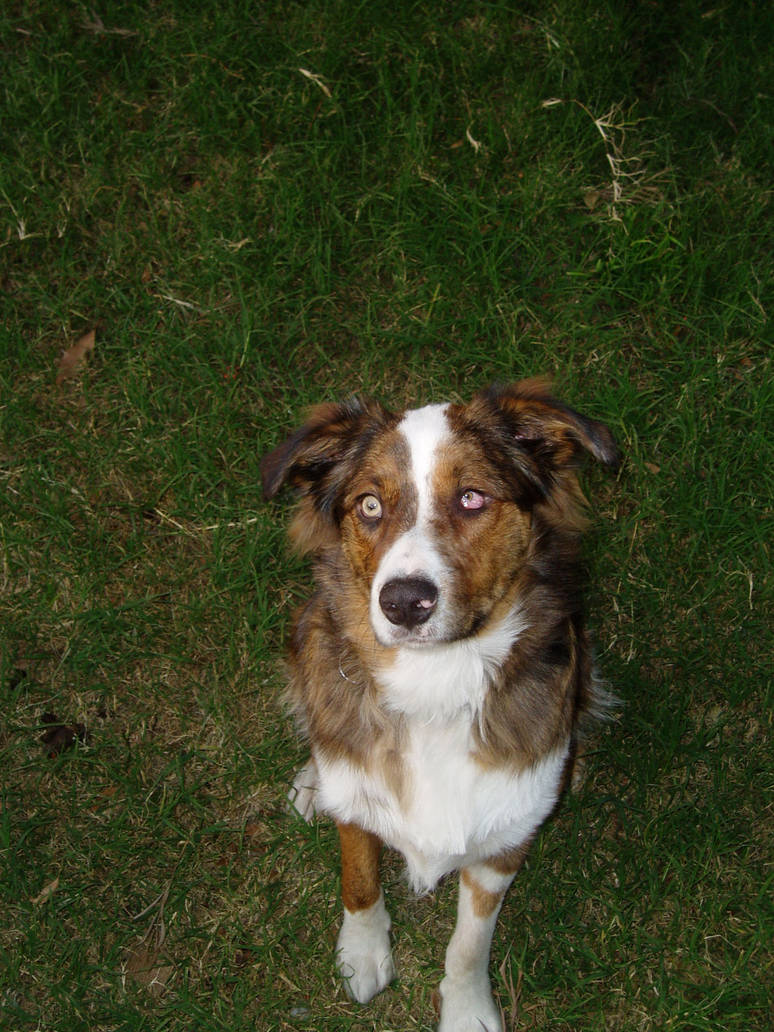 RASCO by mpirilti on DeviantArt