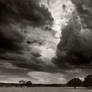 The clouds and trees