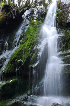 Lilydale Falls