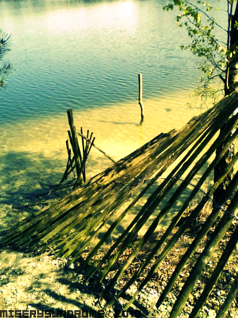 At the lake