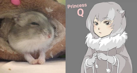 if my hamster was a human, she'd be a princess