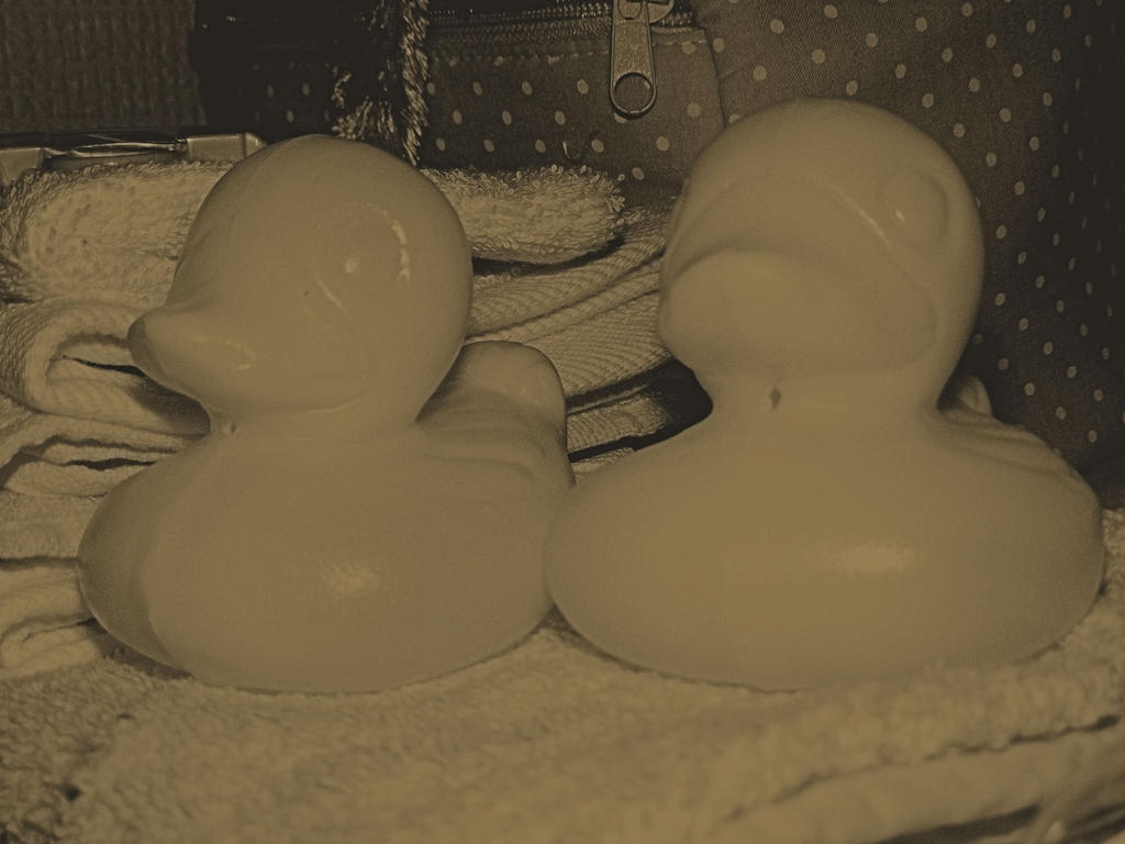 AN - Duckys