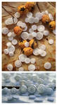 Miniature Snowmints by MrsCreosote