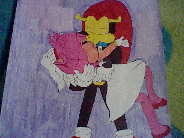 Shadow and Female Sonic kiss by PrincessShannon07 on DeviantArt