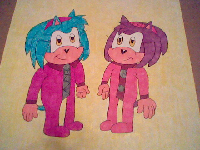 Hedgehog twins