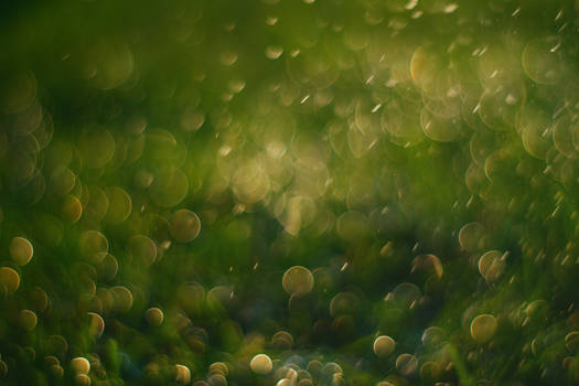 Nature-bokeh-texture