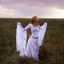 Costume 'Bride of the wind'