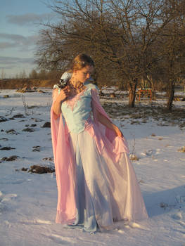 Costume 'Winter morning'