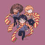 Harry Ron and Hermione