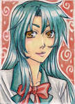 .ACEO Commission 25. by SuccuBlushArt