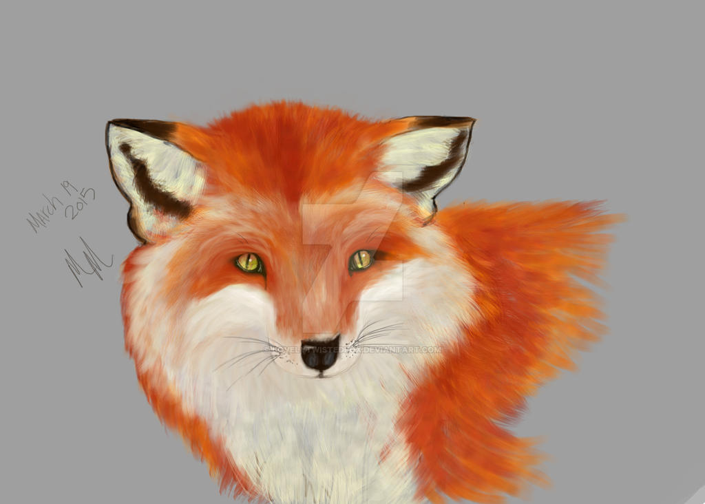 Fox Character Deviantart Fox by LovelyTwistedFox on DeviantArt
