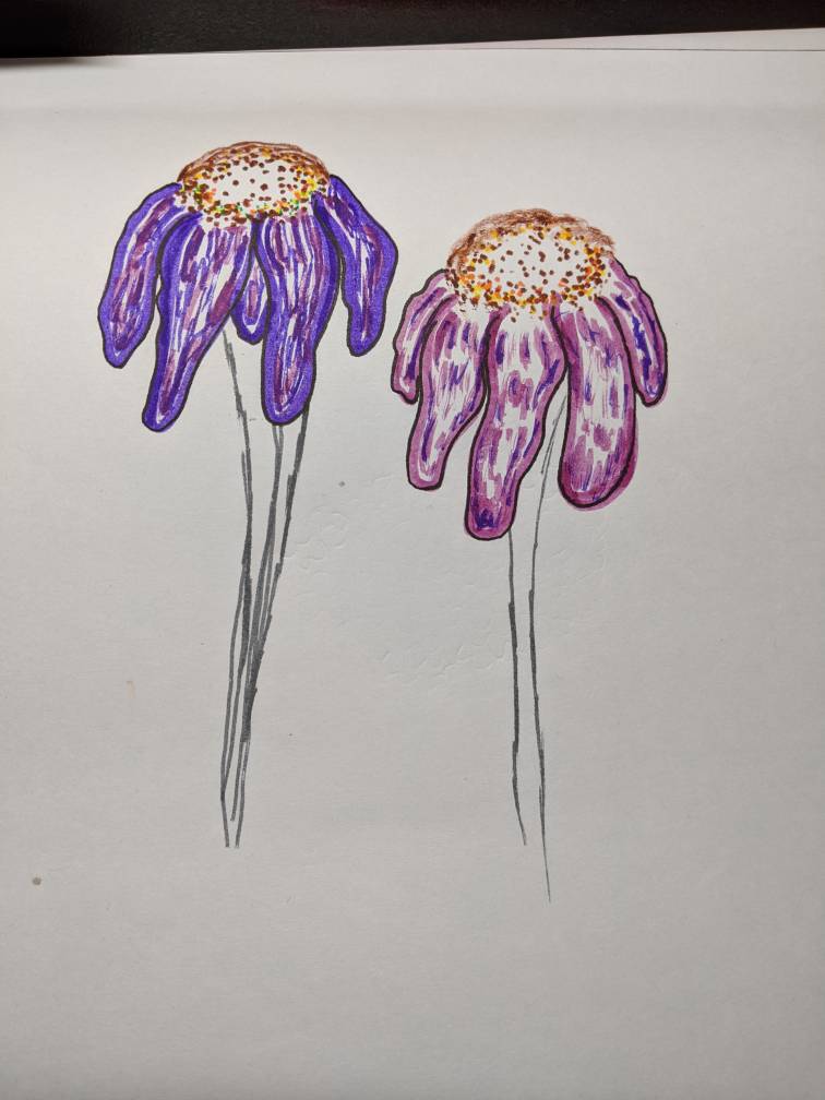 Droopy Flower Sketch By Fostercris On Deviantart