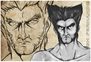 Wolverine