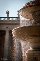 Vatican Fountain