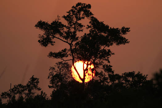 Borneo Sunset
