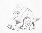 Cheetah by OliLauMad