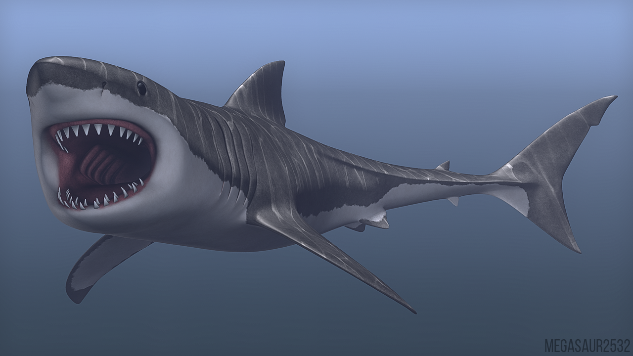 Shark Deviantart My Shark Model by MEGASAUR2532 on DeviantArt
