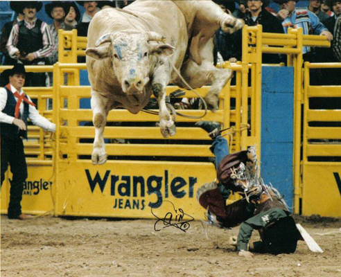 Greaest Bucking bull ever