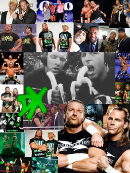D Generation X (Shawn Michaels Triple H) Collage