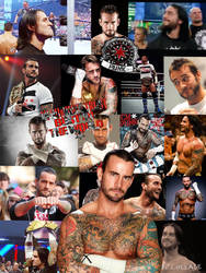 CM Punk Collage