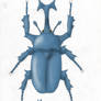 WIP Heracross example (Realistic Bug Poster)