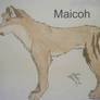 Maicoh Audet