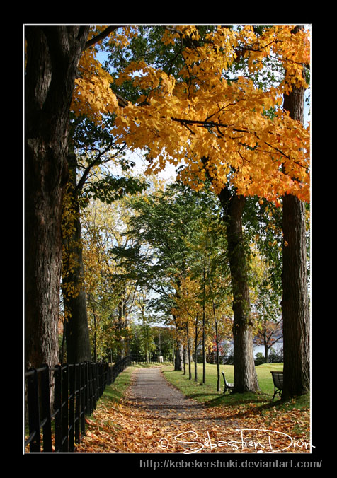 Tranquillite d automne