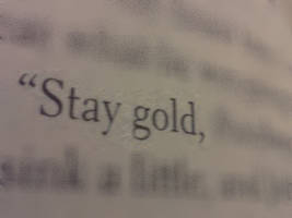 'Stay Gold'