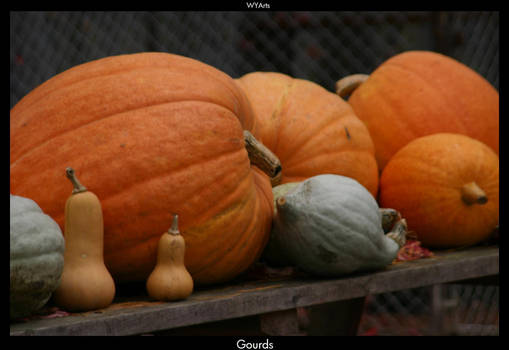 Gourds