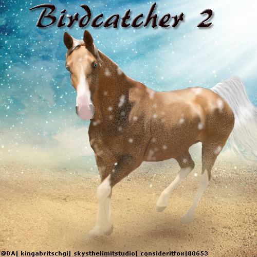 Birdcatcher 2