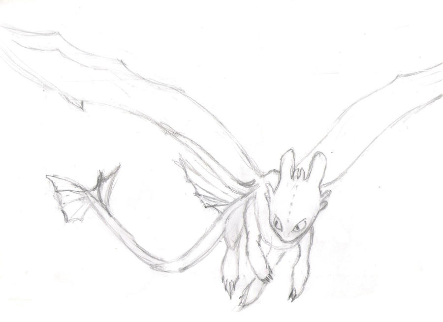 Toothless Large Drawing Toothless Sketch by Daann90 on DeviantArt