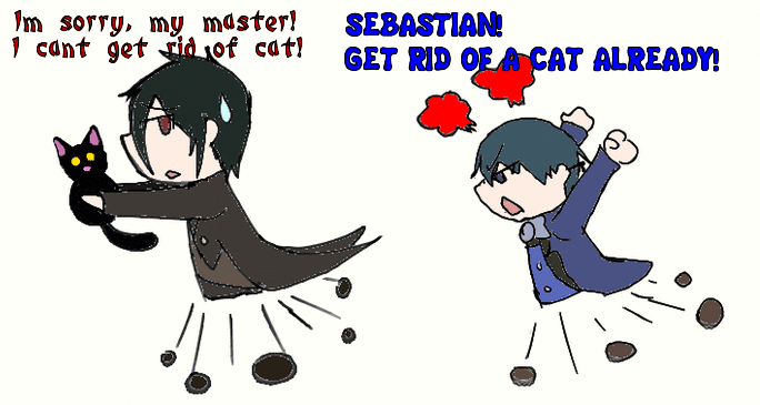 Black 2024 butler cats