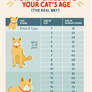 Cat age