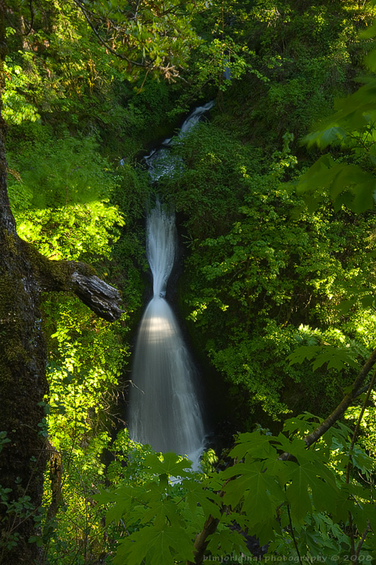 sheperds dell falls wide view