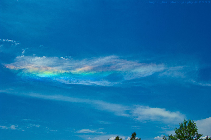 mid-day sun dog