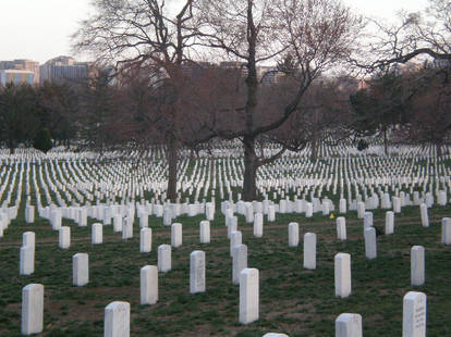 Surreal View at Arlington National Cemetery