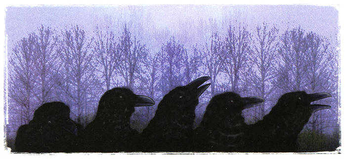 The Ravens of the Wood