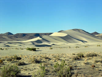 An Ocean of Sand